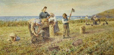 The Potato Harvest by Thomas James Lloyd